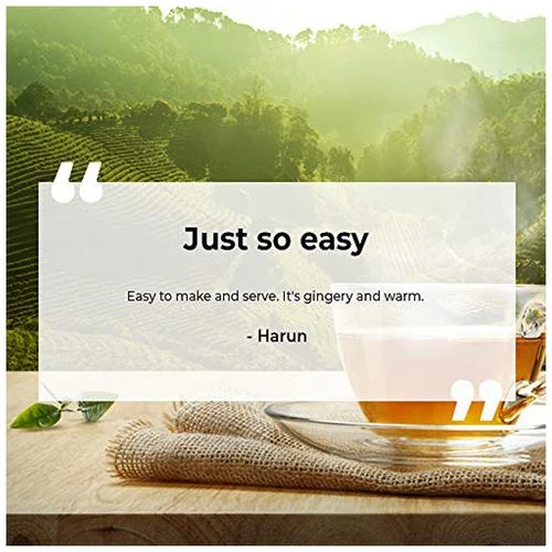 Sprig Tea TE.A Green Tea - Oriental Ginger With Lime, 17.5 g (25 Sachets x 0.7 g each)-2.webp